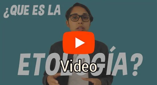 Qué es la etología
